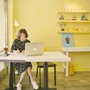 153크린기업 이미지