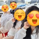 (주)크로스핏엑스 | 🥋청량리주짓수🥋 방문 체험 후기