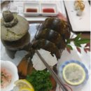 덴포라 이미지