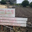 카페블라썸 이미지