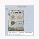 인더캠프 | [공지] 캠프 후기 ㅣ 싱가포르 캠프, 제주 글로벌 캠프 그리고 인블룸 가족들의 이야기