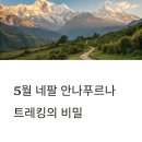 5월 네팔 안나푸르나 트레킹, 지금이 최적기인 이유!