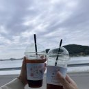 안청공원 | 허접한 첫 차크닉 후기 (진해 안청공원)