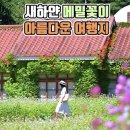 9/10(목)상원사 월정사 선재길 봉평메밀축제장 (평창)출발06시50분 이미지