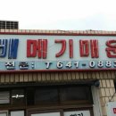 월배메기매운탕 Daum카페