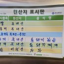 지리산생흑돼지 이미지