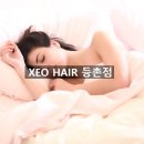 제오헤어등촌역점 이미지