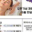 블랑드바비 이미지