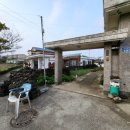 곽지 1645 이미지