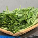 목구멍 장안점 이미지