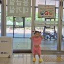 아이 낙상 후 서울성모병원 소아응급실 진료 불가 후기 (강남성모 경증 환자 응급실 진료 불가)