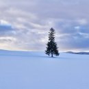 (주)한산25 | [일본] 삿포로 여행 비에이 버스투어 추천 25년 12월 후기 예약 준페이
