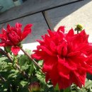 남해쁠라야 이미지