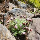 197 | 합천펜션 팔심리197 한옥 독채 숙소 후기, 제대로 힐링한 촌캉스