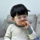 파티세리러츠 이미지