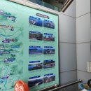 감일튼튼약국 | 보령 외연도 낚시 여행 멀리까지 온 보람이 있다!