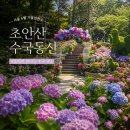 노원-현장-1133 | 서울 초안산 수국동산 6월 꽃구경 축제 기간 주차장 운영시간 정보