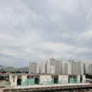 현대자동차월계