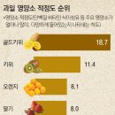 과일스케치 - 서구 용소로12번길 6-12 | 과일스케치