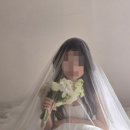 (주)스튜디오블룸 이미지