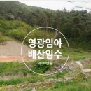 대신천 이미지