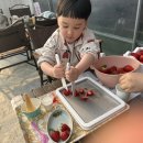 장스아이스크림 이미지