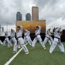 강철 태권도 이미지