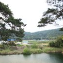 주천대 Daum카페