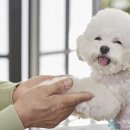 대전종합동물병원 이미지