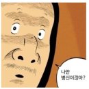 족저근막염 완치하신분 계신가요? 이미지