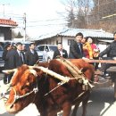 조안1리 마을회관 이미지