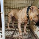 이기형농장 이미지