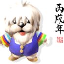 아름다운 개 이미지