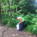 청계산 등산로 이미지