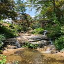 프라움악기박물관 이미지