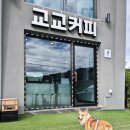 교교커피 | 춘천 애견동반카페 교교커피 디저트맛집
