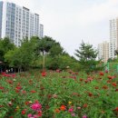 미사누리2호공원 이미지