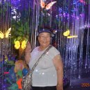 에이블투어㈜ 이미지