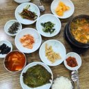 엄정면사무소 | 충주 목계솔밭/비내섬 소식입니다.(2023.10.28)
