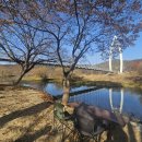 황토오리 가마구이 식당 이미지