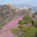 여수 영취산 진달래 산행 이미지