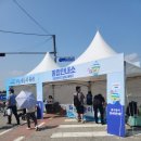 전곡항 | 2026년 화성 전곡항 뱃놀이 축제 후기 : 요트 승선 정보 (아이랑 갈만한 경기도, 서울 근교 축제)