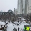 판교랜드공인중개사사무소 이미지