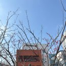 양천구보건소 | [ 양천구 보건소 ] 임산부 등록 후기 / 임산부등록 필요서류 / 임신선물
