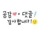 신애 어린이집 네이버블로그