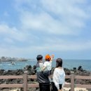 제주하와이 덕수궁 | 가족여행 in 제주