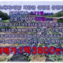 거창전원공인중개사사무소 이미지