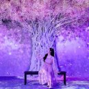 바이에잇 이미지