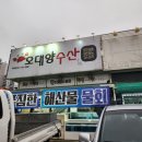 원주 태장동 횟집 추천 오대양수산에서 싱싱한 모둠회 한 접시!