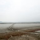 바다와갯벌 이미지